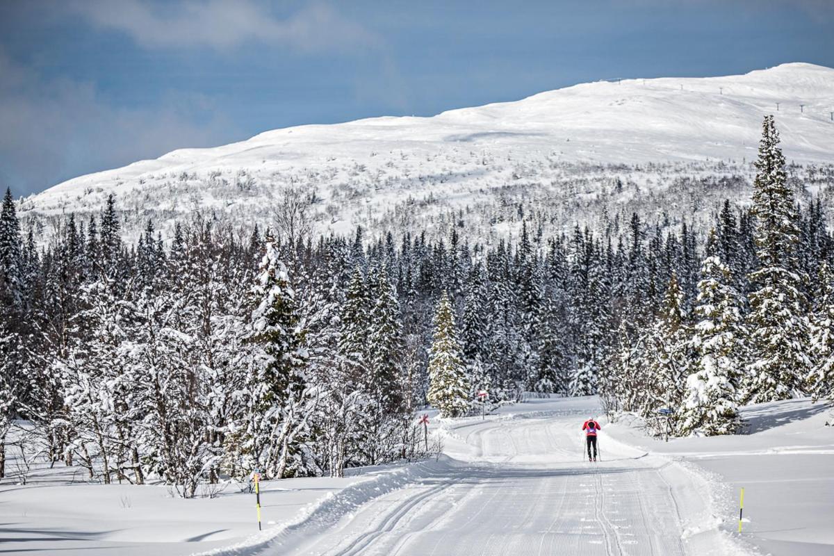 Koeja Fjaellhotell Edsasdalen Extérieur photo